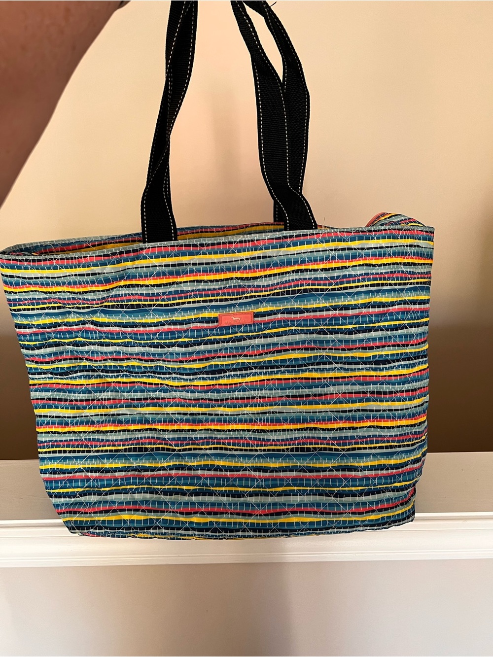 Scout Multicolor Striped Tote with Black Handles